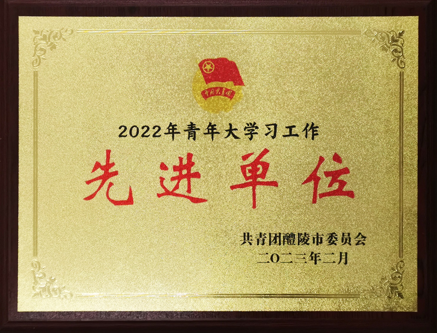 2022年青年大学习工作“先进单位”
