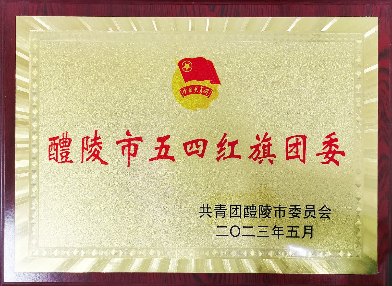 醴陵市五四红旗团委