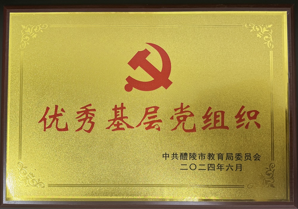 优秀基层党组织